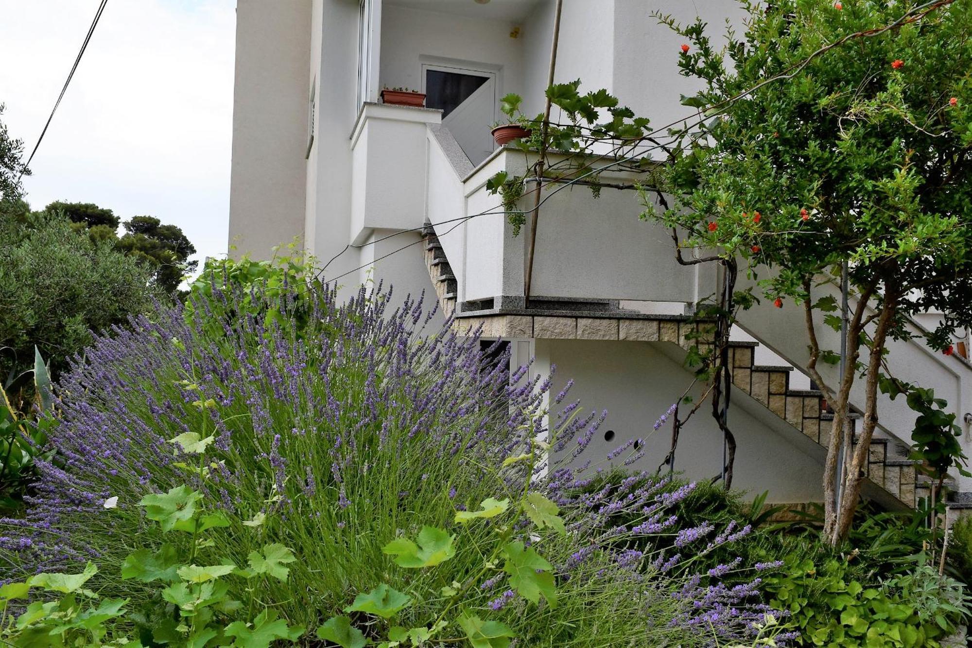 Sunnyy Beacch Apartments Banjol الغرفة الصورة